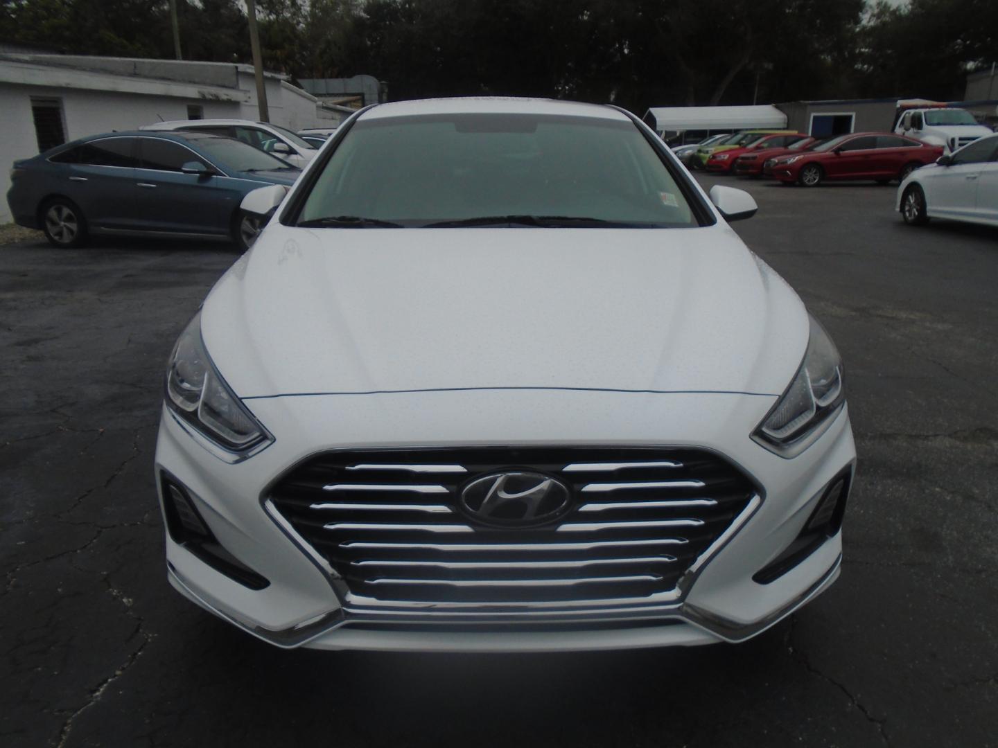 2018 Hyundai Sonata (5NPE24AF5JH) , located at 6112 N Florida Avenue, Tampa, FL, 33604, (888) 521-5131, 27.954929, -82.459534 - Photo#1